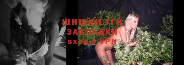 дживик Абинск