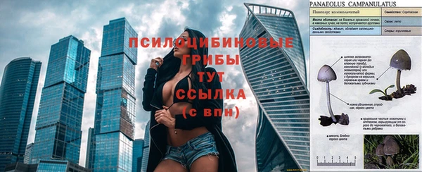 ECSTASY Абдулино