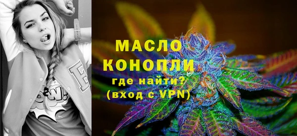 дживик Абинск