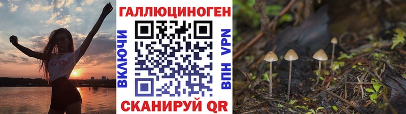 Псилоцибиновые грибы Magic Shrooms  наркошоп  Алатырь 
